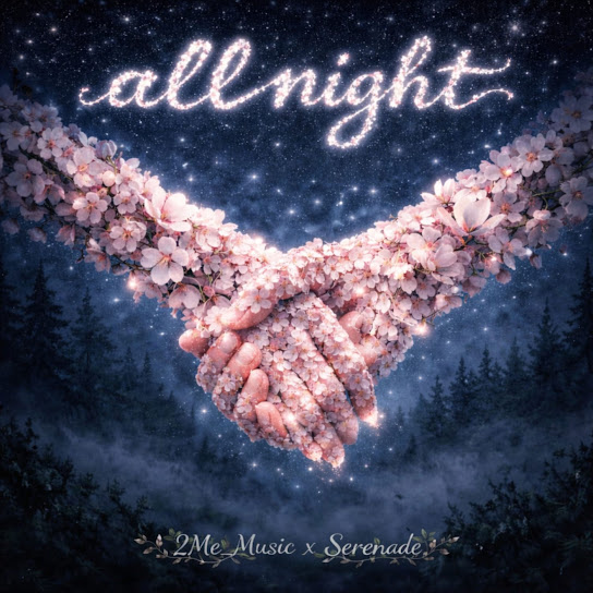 2Me_Music, Serenade - All Night