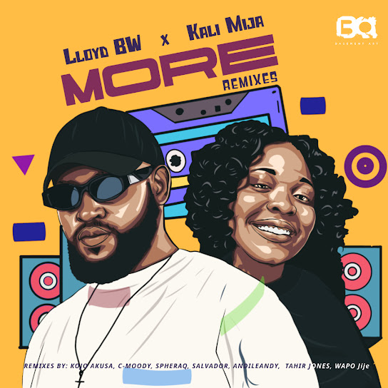 Lloyd Bw - More (Andileandy Dub Mix)