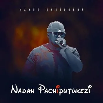 Dzikisa Munyengetero by Mambo Dhuterere